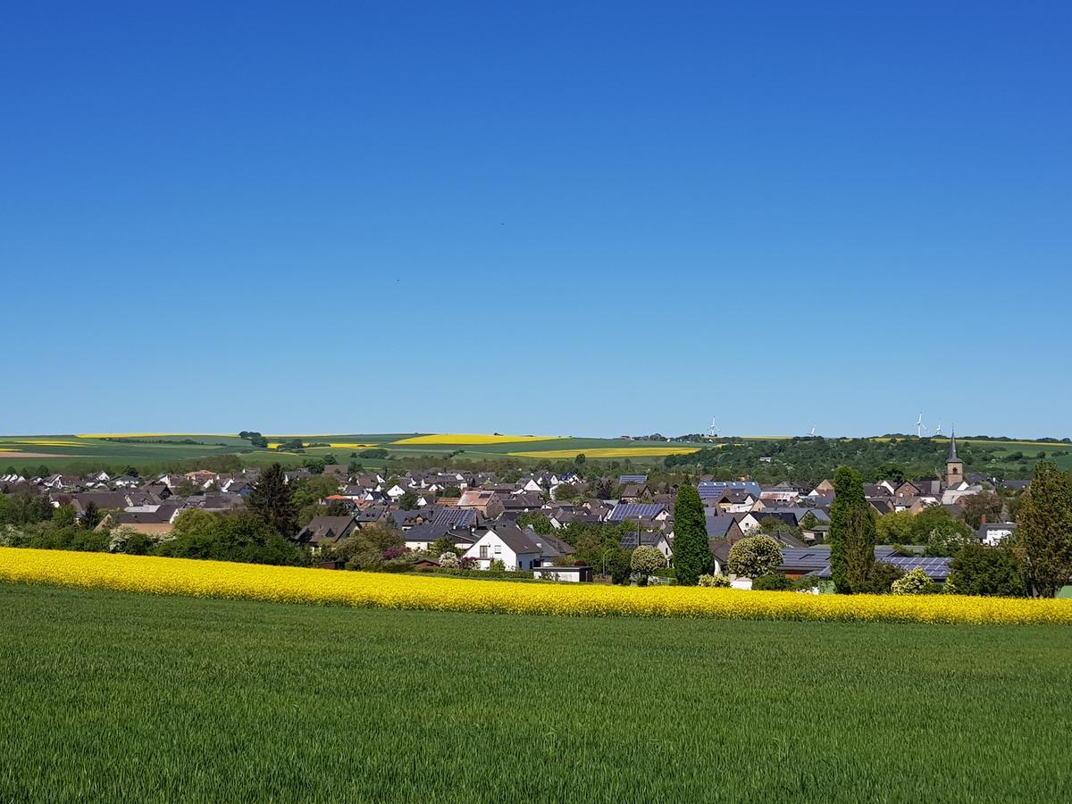 Ferienwohnung Hedi Mertloch エクステリア 写真