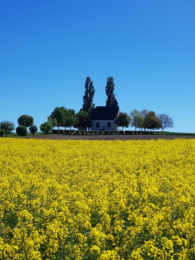 Ferienwohnung Hedi Mertloch エクステリア 写真